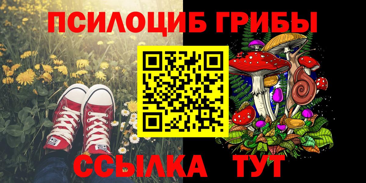 Улан-Удэ  Псилоцибиновые грибы Cubensis  купить закладку  Вход с VPN 
